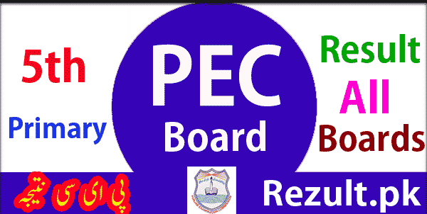 Punjab Examination Commission PEC Board 5th result 2024