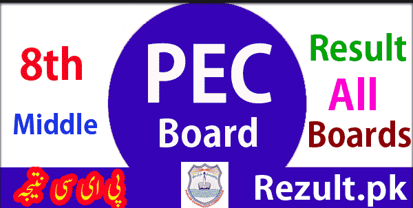 Punjab Examination Commission PEC Board 8th result 2024