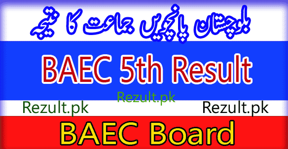 BAEC Board 5th result 2024