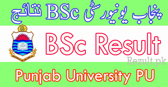 PU Bsc result 2024